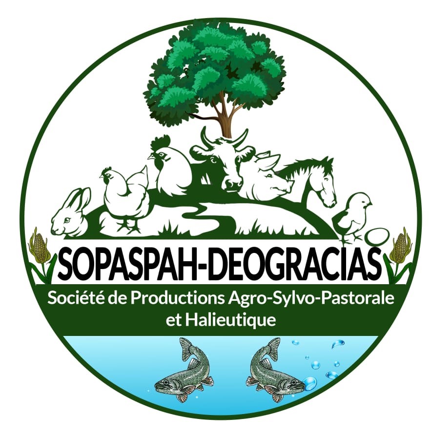 logo Sopaspah
