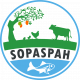 Logo de Sopaspah-Deogracias