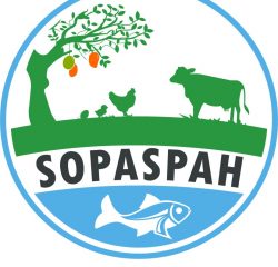 Logo de SOPASPAH DEOGRACIAS