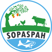 Logo de Sopaspah-Deogracias